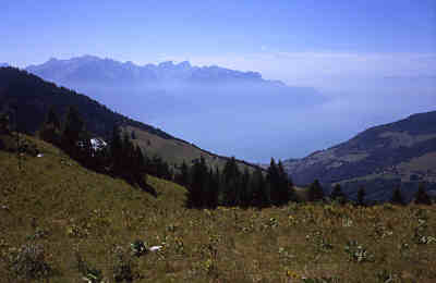 Col de Jaman