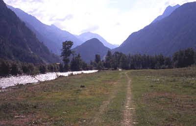 tztal