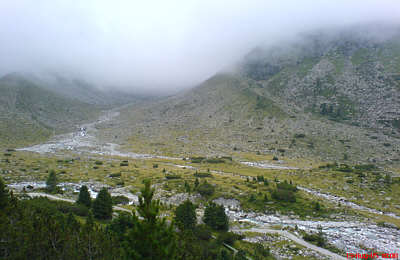 Zemmgrund im Nebel